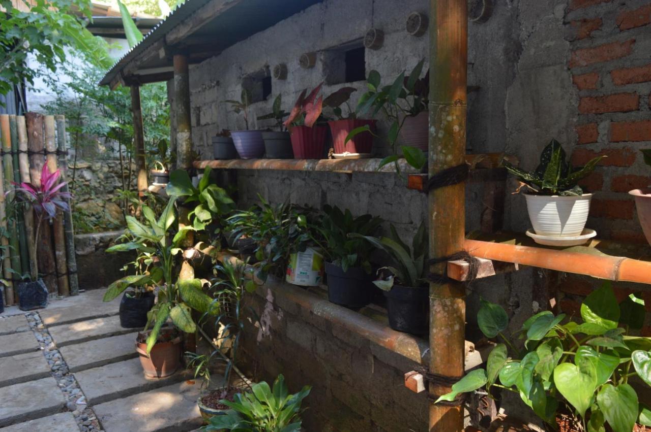 Labuan Bajo Mahoni Guesthouse المظهر الخارجي الصورة